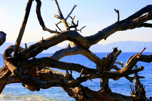 Demirci 4 Homestay Kusadasi