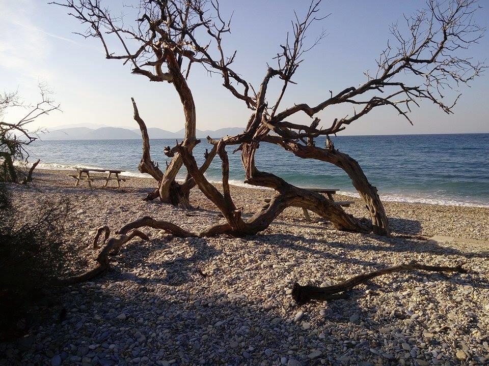 Demirci 4 Homestay Kusadasi